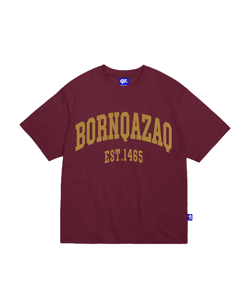 ДЕТСКАЯ ФУТБОЛКА BQ FW25 БОРДОВАЯ